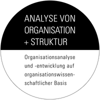 organisationsanalyse